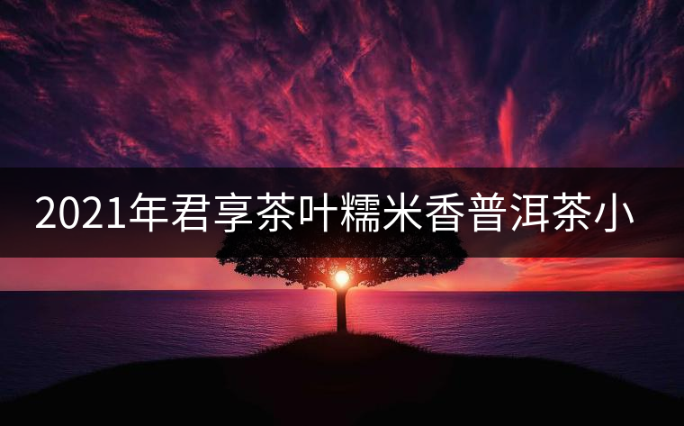 2021年君享茶葉糯米香普洱茶小沱茶餅口感好嗎？