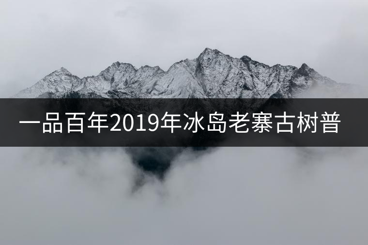 一品百年2019年冰島老寨古樹普洱茶生茶好喝嗎？