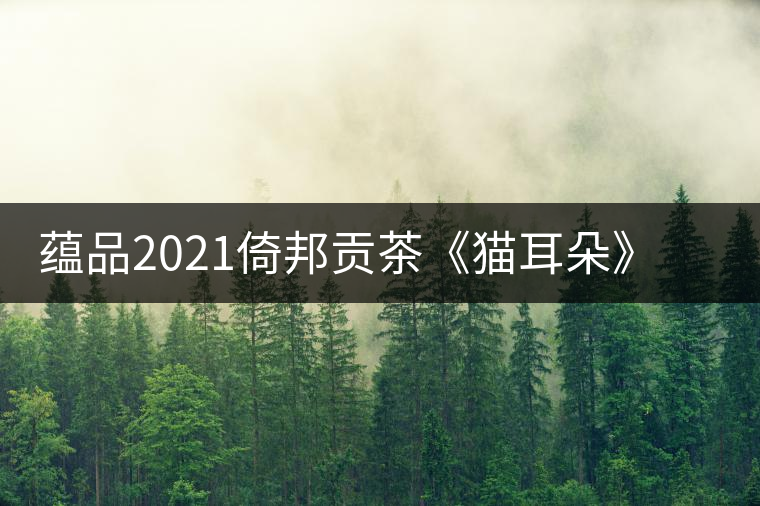蘊(yùn)品2021倚邦貢茶《貓耳朵》古樹普洱茶生茶好喝嗎？