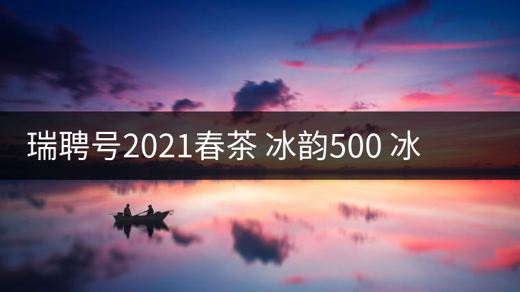 瑞聘號(hào)2021春茶 冰韻500 冰島頭春古樹茶口感好不好？