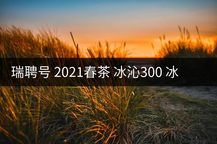 瑞聘號 2021春茶 冰沁300 冰島頭春古樹茶好喝嗎？