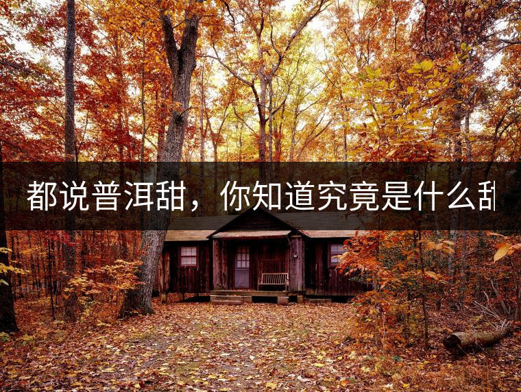 都說普洱甜，你知道究竟是什么甜嗎？