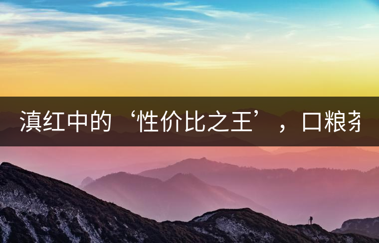 滇紅中的‘性價比之王’，口糧茶首選！