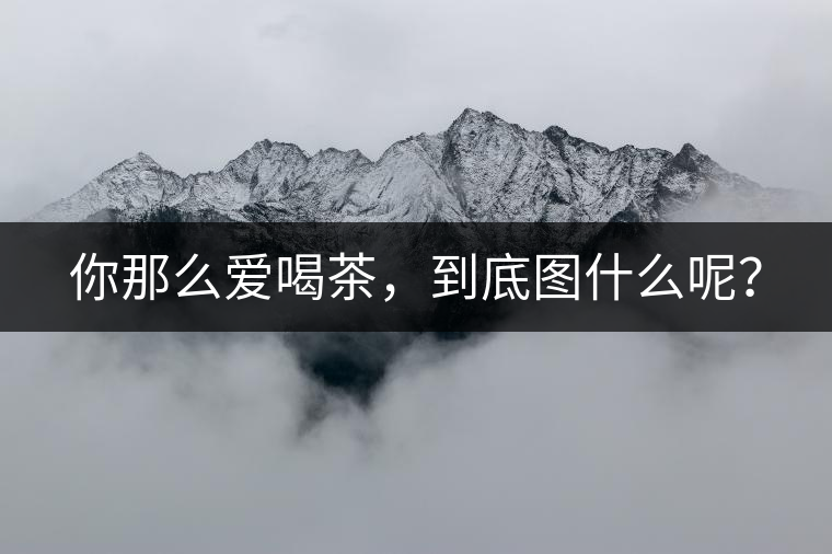 你那么愛喝茶，到底圖什么呢？
