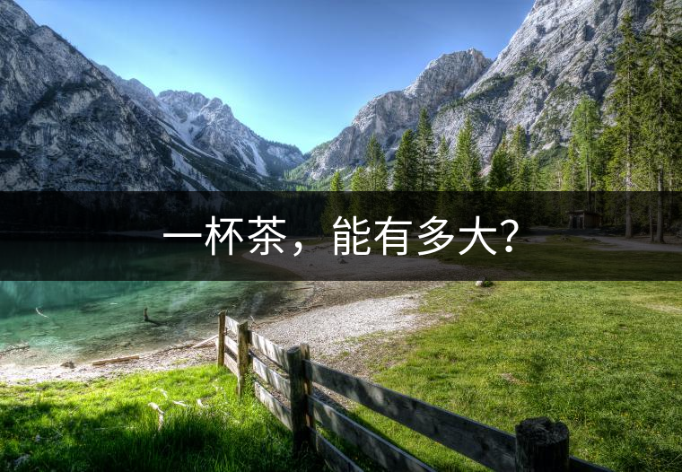 一杯茶，能有多大？