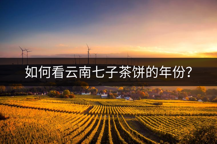 如何看云南七子茶餅的年份？