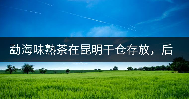 勐海味熟茶在昆明干倉存放，后期轉(zhuǎn)化如何呢？