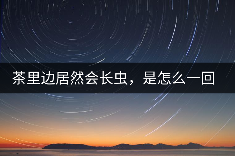 茶里邊居然會長蟲，是怎么一回事呢？