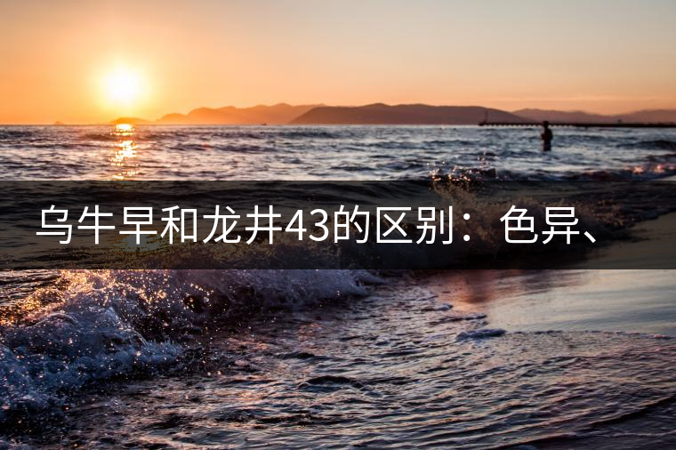 烏牛早和龍井43的區(qū)別：色異、香異、形異