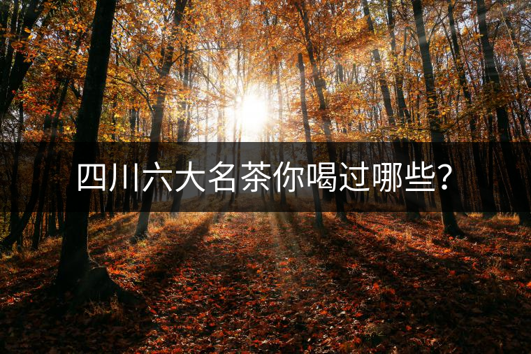 四川六大名茶你喝過哪些？