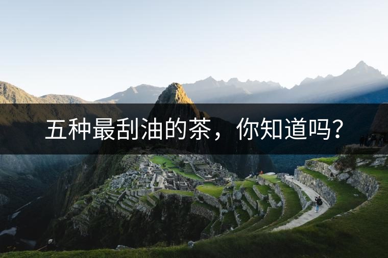 五種最刮油的茶，你知道嗎？