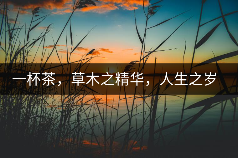 一杯茶，草木之精華，人生之歲月