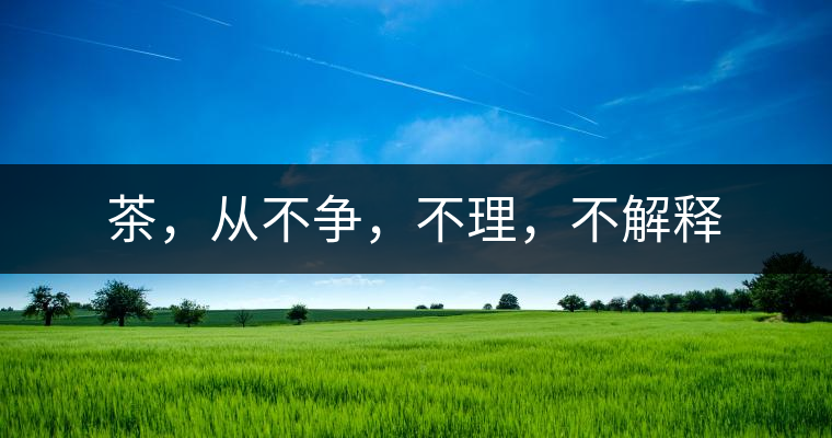 茶，從不爭，不理，不解釋