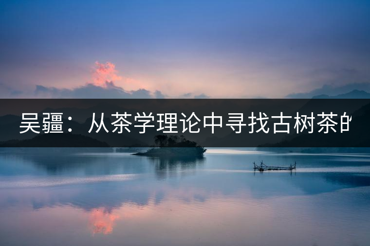 吳疆：從茶學(xué)理論中尋找古樹茶的鑒別方法？（讀書筆記3）