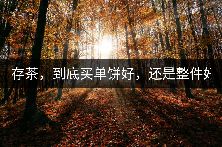 存茶，到底買單餅好，還是整件好？