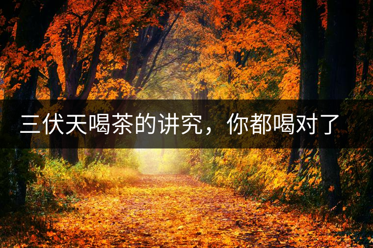 三伏天喝茶的講究，你都喝對了嗎？