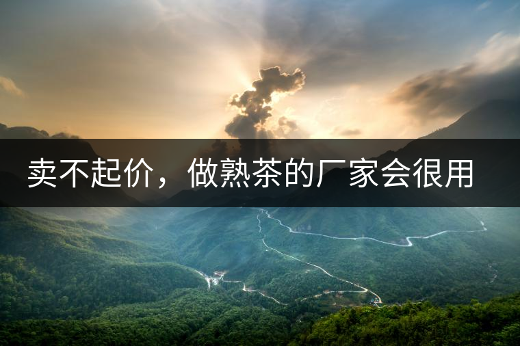 賣不起價(jià)，做熟茶的廠家會(huì)很用心生產(chǎn)熟茶嗎？