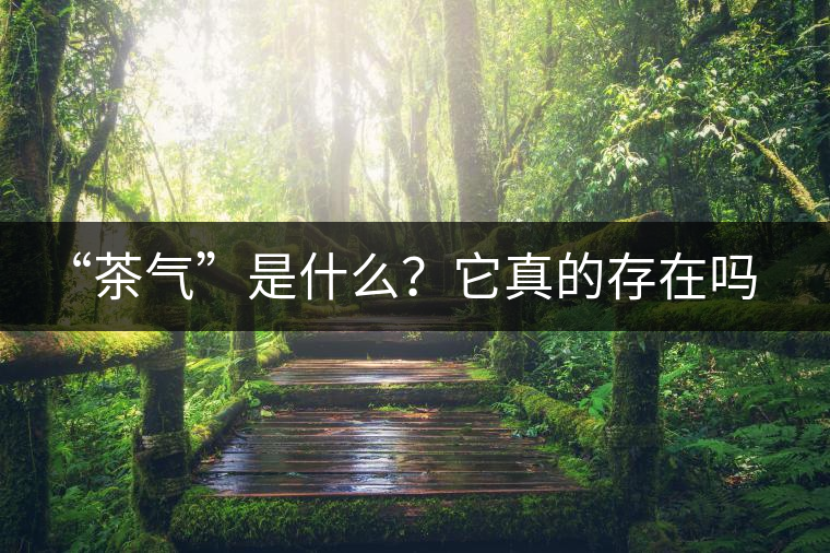 “茶氣”是什么？它真的存在嗎？
