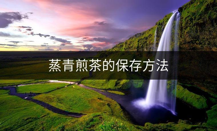蒸青煎茶的保存方法