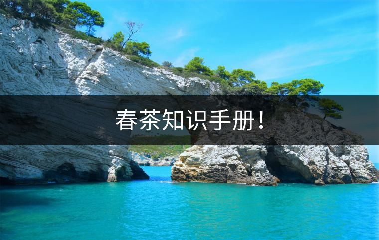 春茶知識(shí)手冊(cè)！