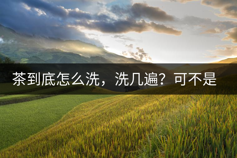 茶到底怎么洗，洗幾遍？可不是倒水進(jìn)去這么簡(jiǎn)單喲