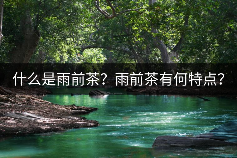 什么是雨前茶？雨前茶有何特點？