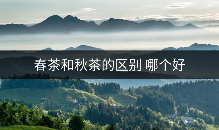 春茶和秋茶的區(qū)別 哪個(gè)好 春茶和秋茶的區(qū)別 哪個(gè)好