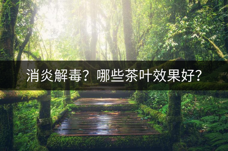 消炎解毒？哪些茶葉效果好？