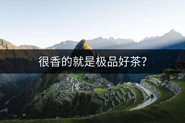 很香的就是極品好茶？