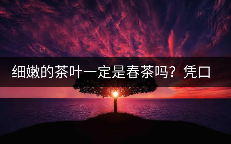 細(xì)嫩的茶葉一定是春茶嗎？憑口感鑒別春茶的方法