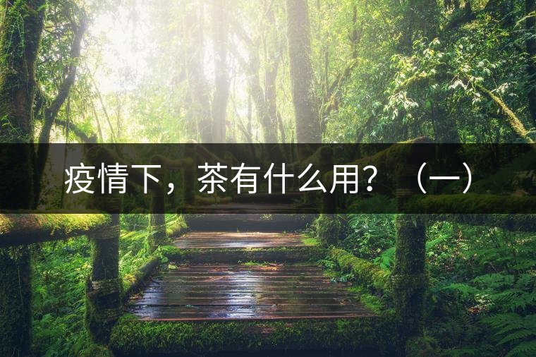 疫情下，茶有什么用？（一）
