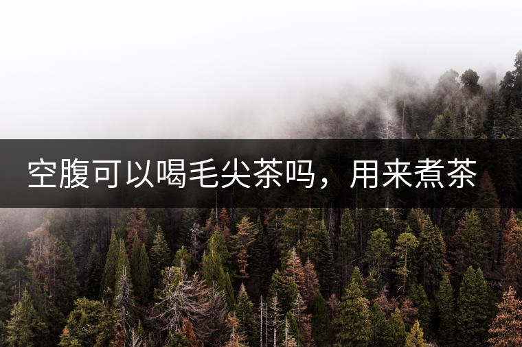 空腹可以喝毛尖茶嗎，用來煮茶葉蛋怎么樣？
