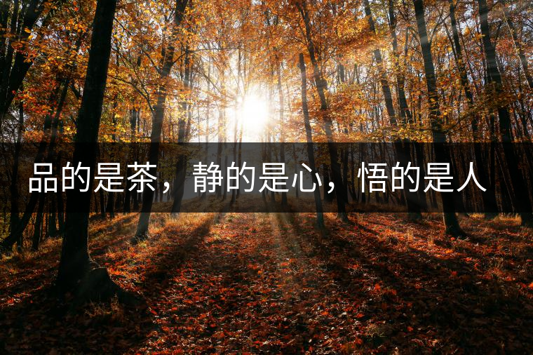 品的是茶，靜的是心，悟的是人生，滌的是靈魂