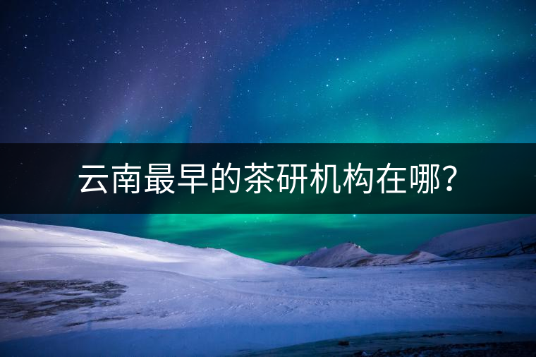 云南最早的茶研機(jī)構(gòu)在哪？