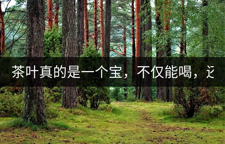 茶葉真的是一個(gè)寶，不僅能喝，還能用！