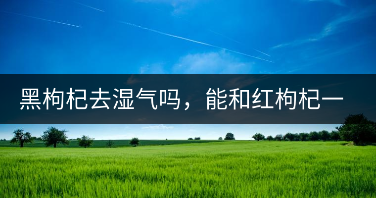 黑枸杞去濕氣嗎，能和紅枸杞一起泡嗎？