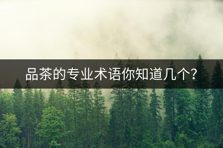 品茶的專業(yè)術(shù)語你知道幾個(gè)？