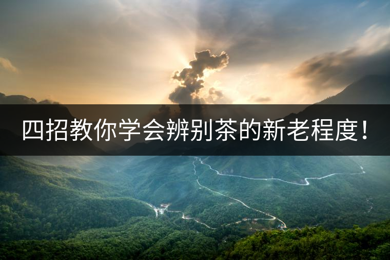 四招教你學(xué)會辨別茶的新老程度！