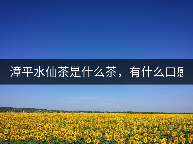漳平水仙茶是什么茶，有什么口感特點(diǎn)！