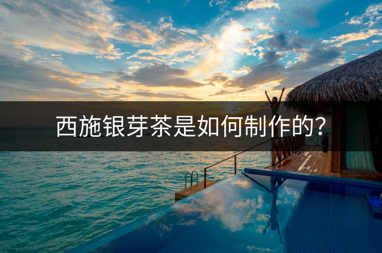西施銀芽茶是如何制作的？