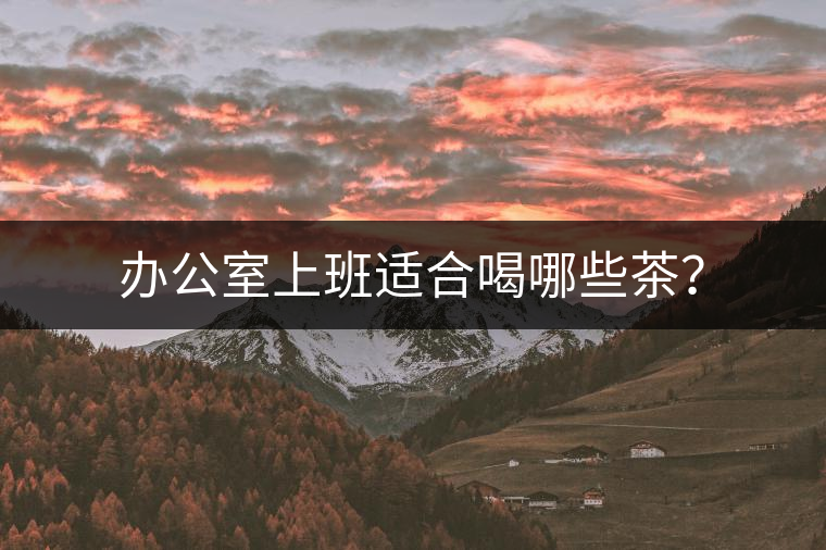 辦公室上班適合喝哪些茶？