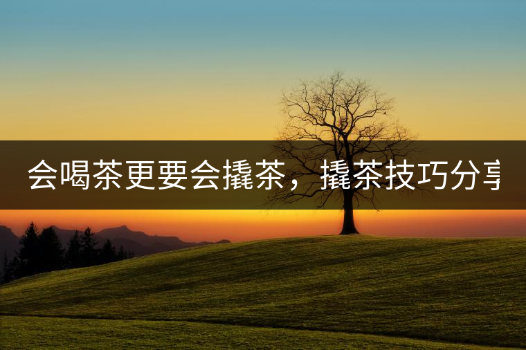 會喝茶更要會撬茶，撬茶技巧分享！