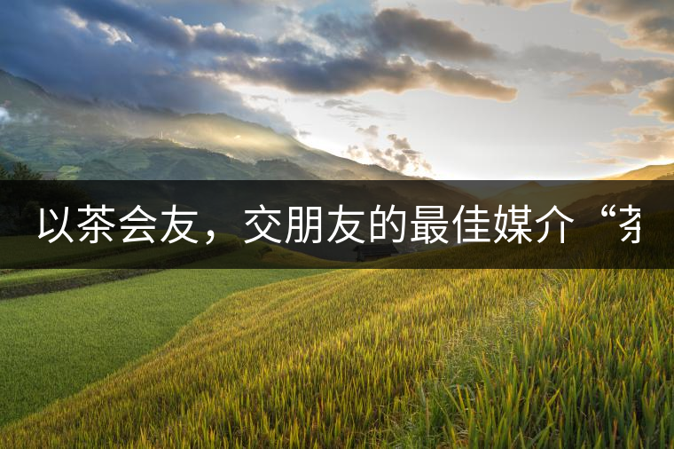 以茶會(huì)友，交朋友的最佳媒介“茶”！