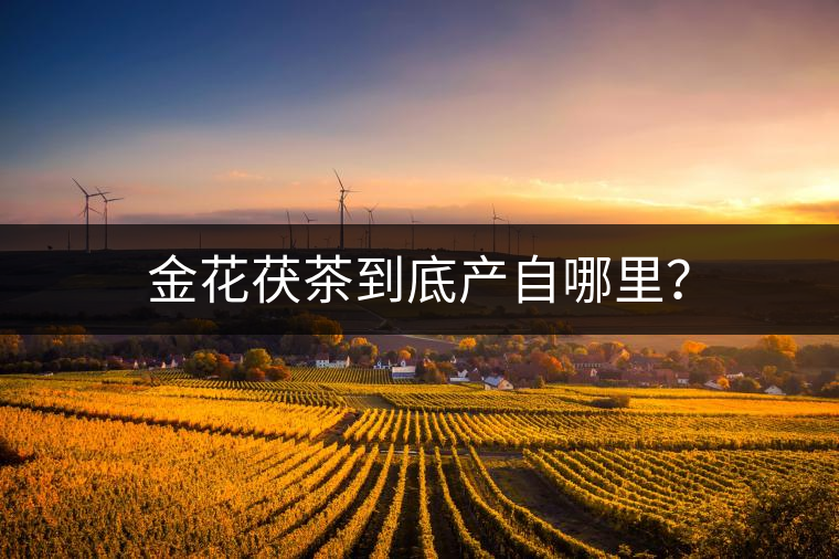 金花茯茶到底產(chǎn)自哪里？