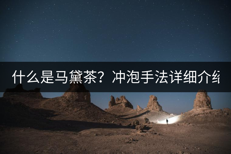 什么是馬黛茶？沖泡手法詳細介紹！
