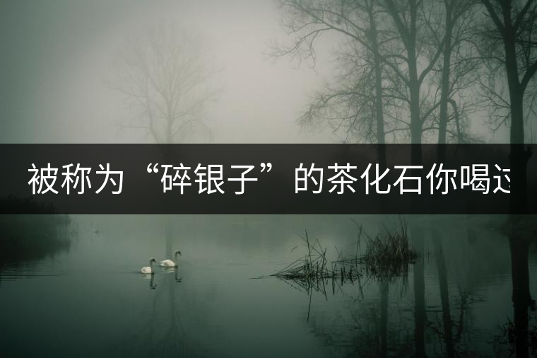 被稱為“碎銀子”的茶化石你喝過嗎？