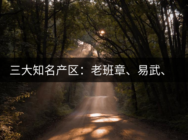 三大知名產(chǎn)區(qū)：老班章、易武、景邁三大茶系都有哪些特點(diǎn)！