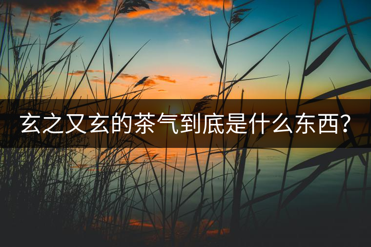 玄之又玄的茶氣到底是什么東西？