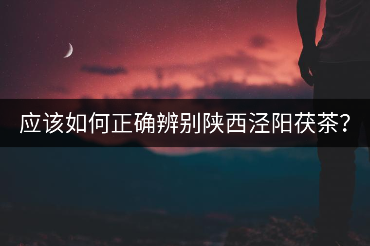 應該如何正確辨別陜西涇陽茯茶？