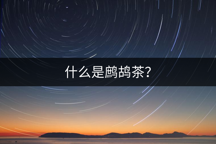 什么是鷓鴣茶？